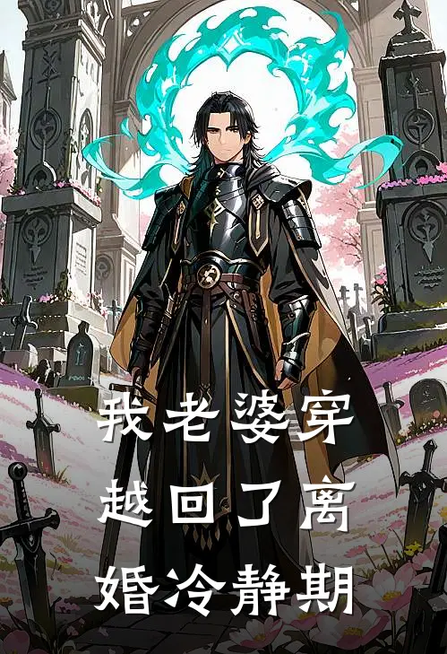 我老婆穿越回了离婚冷静期